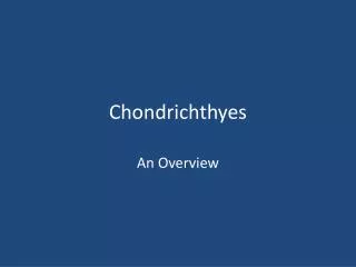 Chondrichthyes