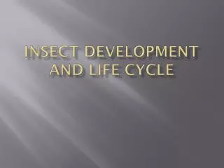 Insect development and life cycle