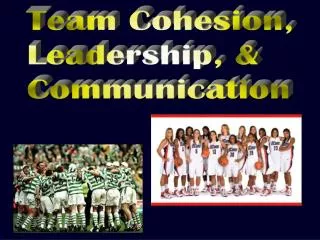 Team Cohesion, Leadership, &amp; Communication