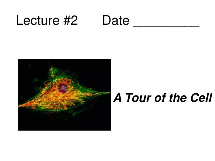 lecture 2 date