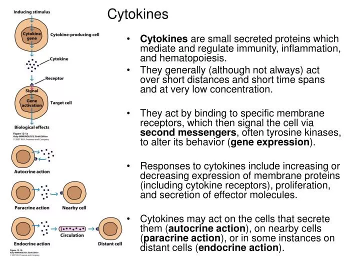 cytokines