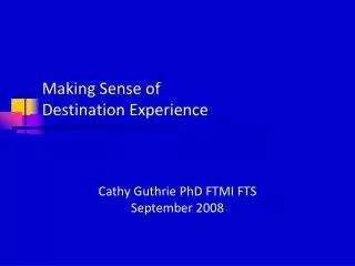 Making Sense of Destination Experience