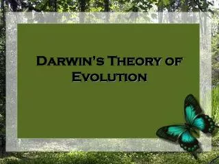 darwin s theory of evolution