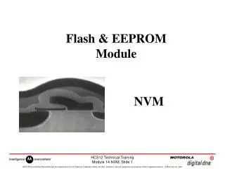 Flash &amp; EEPROM Module
