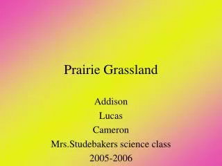 Prairie Grassland