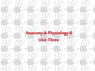 Anatomy &amp; Physiology II Unit Three