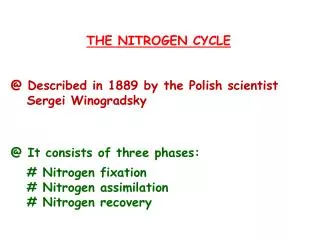 THE NITROGEN CYCLE @ Described i n 1889 by the Polish scientist Sergei Winogradsky @ It consists of three phases: