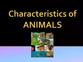 Characteristics of ANIMALS