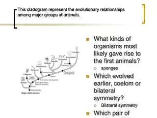This cladogram represent the evolutionary relationships among major groups of animals.