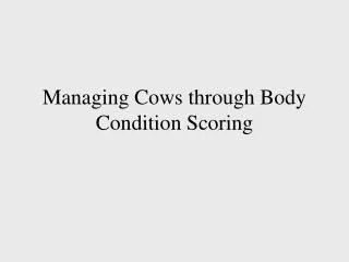 Managing Cows through Body Condition Scoring