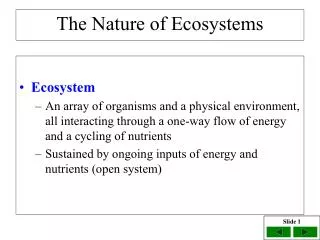 The Nature of Ecosystems
