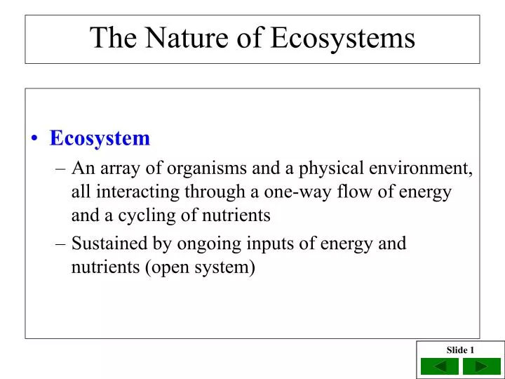 the nature of ecosystems