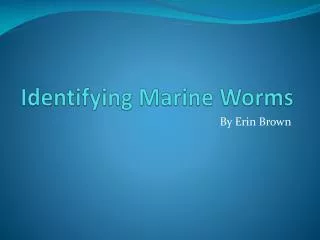 Identifying Marine Worms