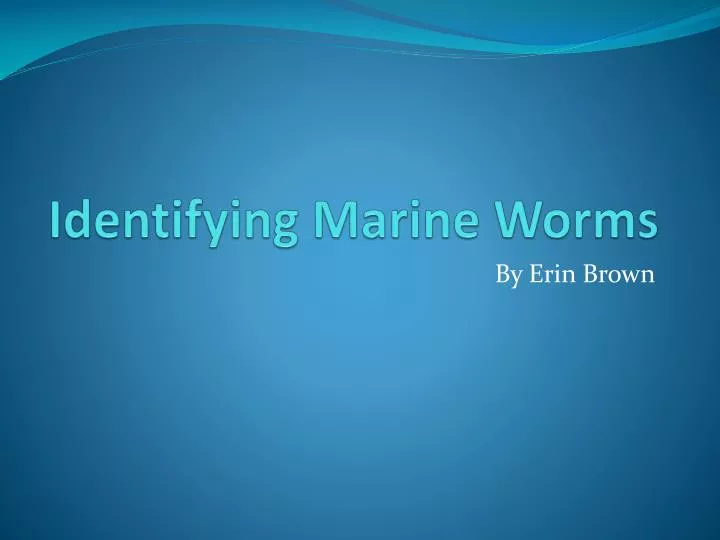 identifying marine worms