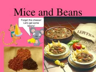 Mice and Beans