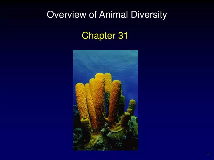 overview of animal diversity