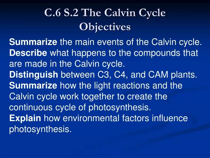 c 6 s 2 the calvin cycle objectives