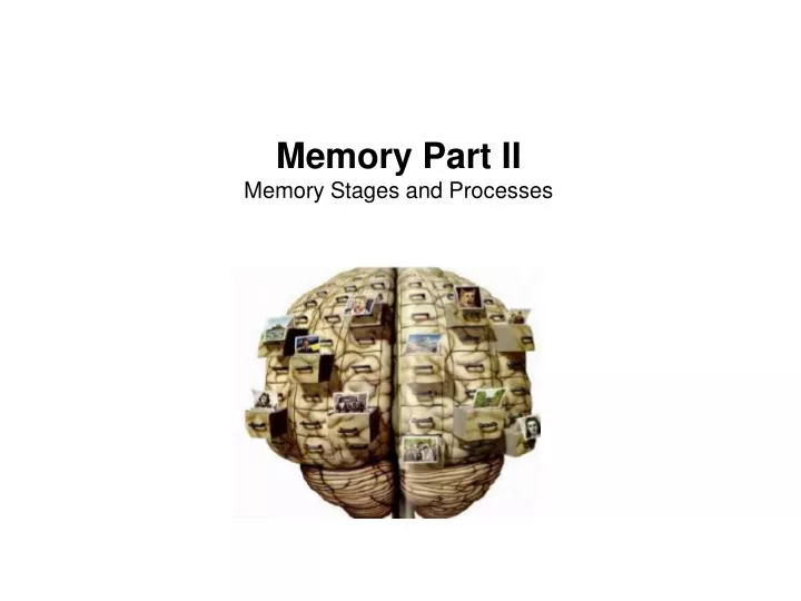 memory part ii memory stages and processes