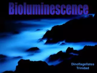 Bioluminescence