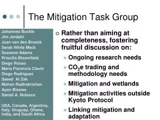 The Mitigation Task Group