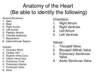 Anatomy of the Heart (Be able to identify the following)