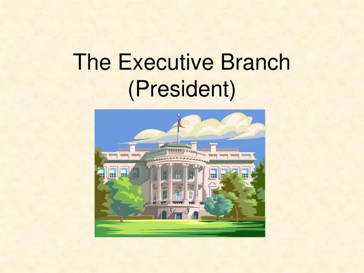 the executive branch president