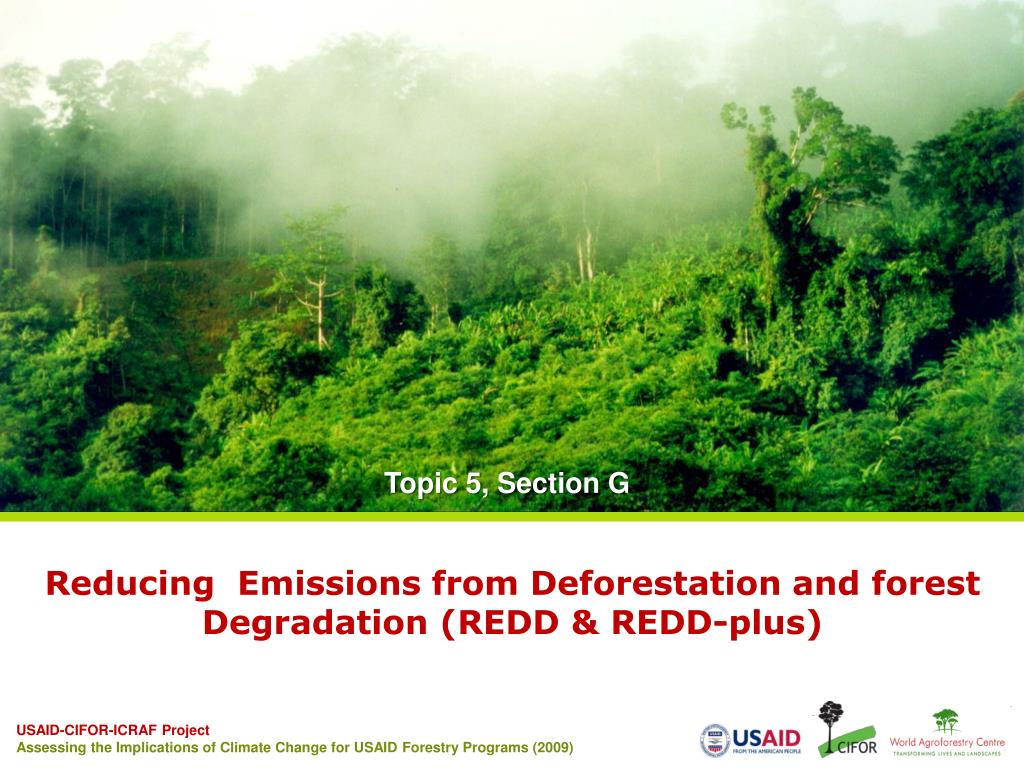 PPT - Reducing Emissions from Deforestation and forest Degradation ...