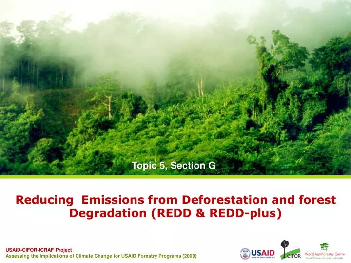 reducing emissions from deforestation and forest degradation redd redd plus