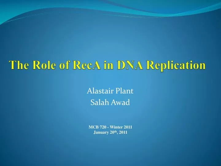 the role of reca in dna replication