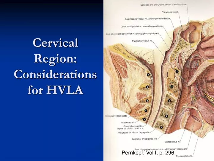cervical region considerations for hvla