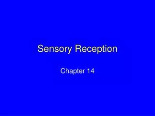 Sensory Reception