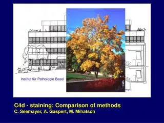 C4d - staining: Comparison of methods C. Seemayer, A. Gaspert, M. Mihatsch