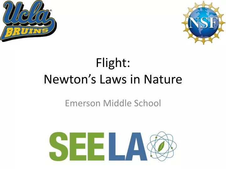 flight newton s laws in nature