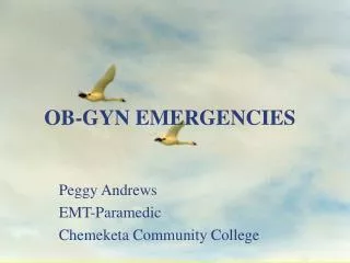 OB-GYN EMERGENCIES