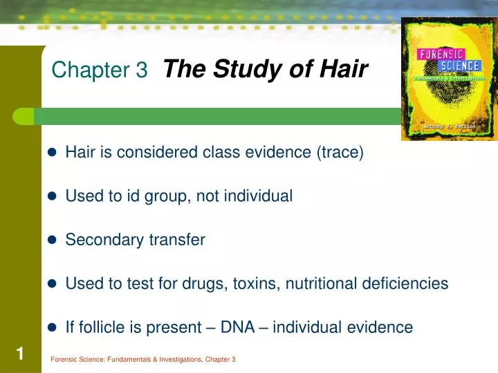 chapter 3 the study of hair