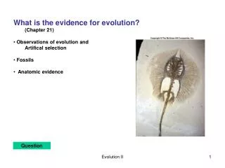 What is the evidence for evolution? 	(Chapter 21) Observations of evolution and 	Artifical selection Fossils Anatomi