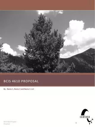 BCIS 4610 Proposal