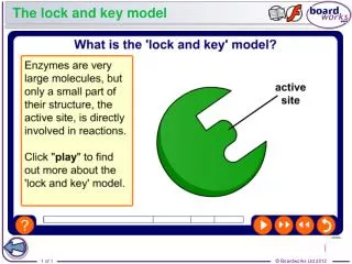 The lock and key model