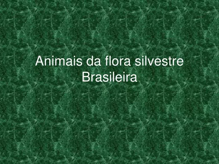 animais da flora silvestre brasileira