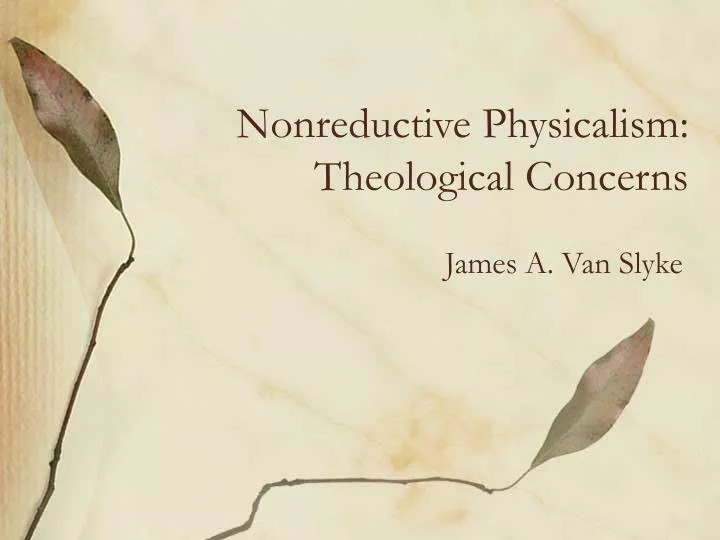 nonreductive physicalism theological concerns