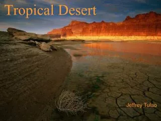 Tropical Desert