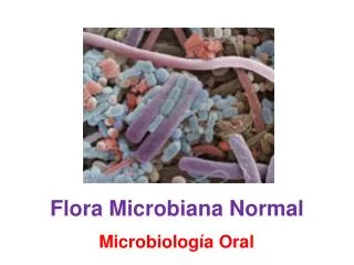 flora microbiana normal