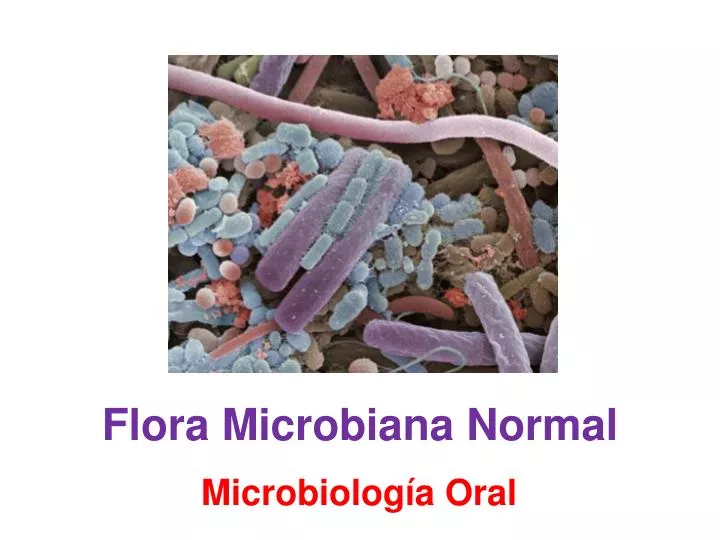 flora microbiana normal