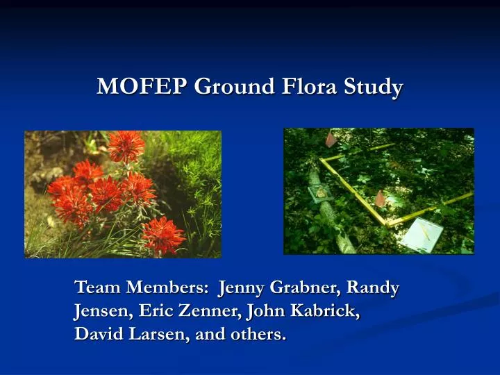 mofep ground flora study