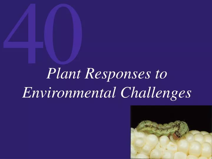 plant responses to environmental challenges
