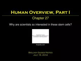 Human Overview, Part I Chapter 27