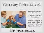 Veterinary Technicians 101 - slide 1