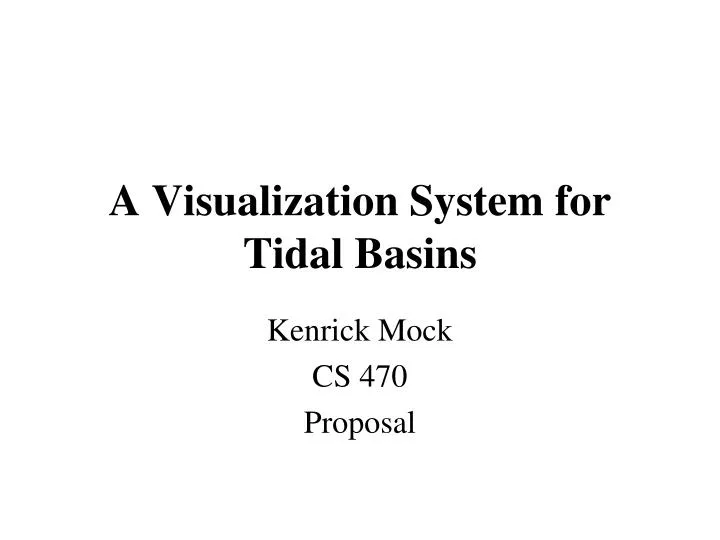 a visualization system for tidal basins