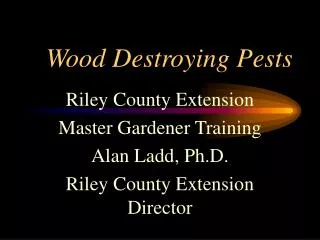 Wood Destroying Pests