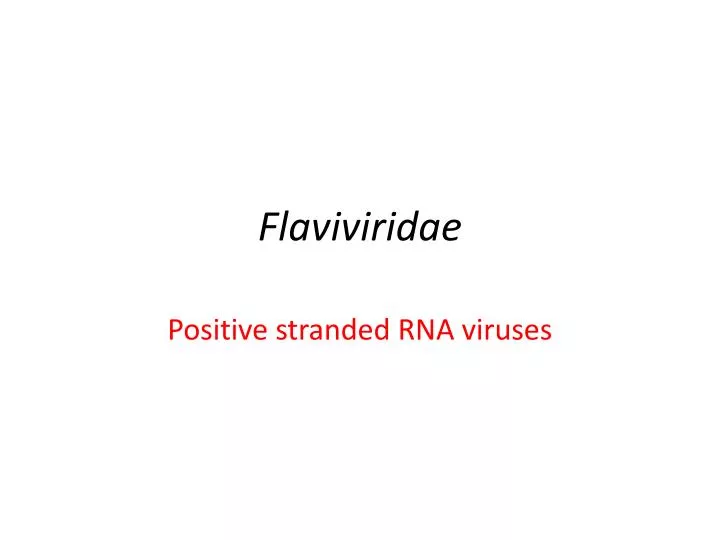 flaviviridae